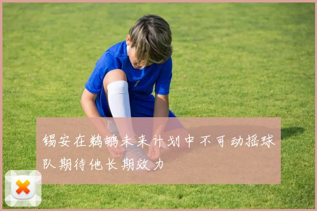 锡安在鹈鹕未来计划中不可动摇球队期待他长期效力