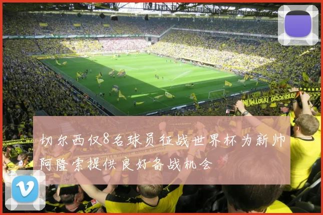 切尔西仅8名球员征战世界杯为新帅阿隆索提供良好备战机会